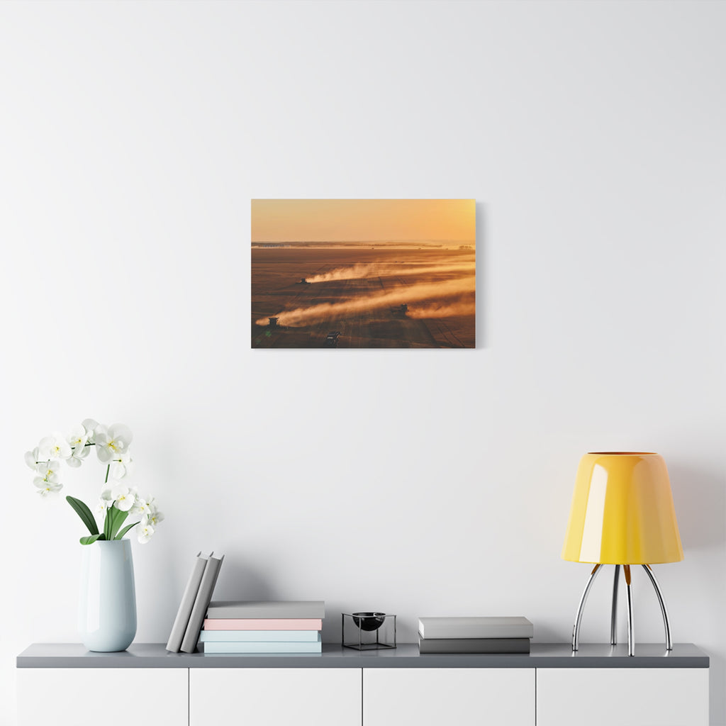 Golden Harvest Peace Region Canvas Print — Farmfield Sunrise Wall Art