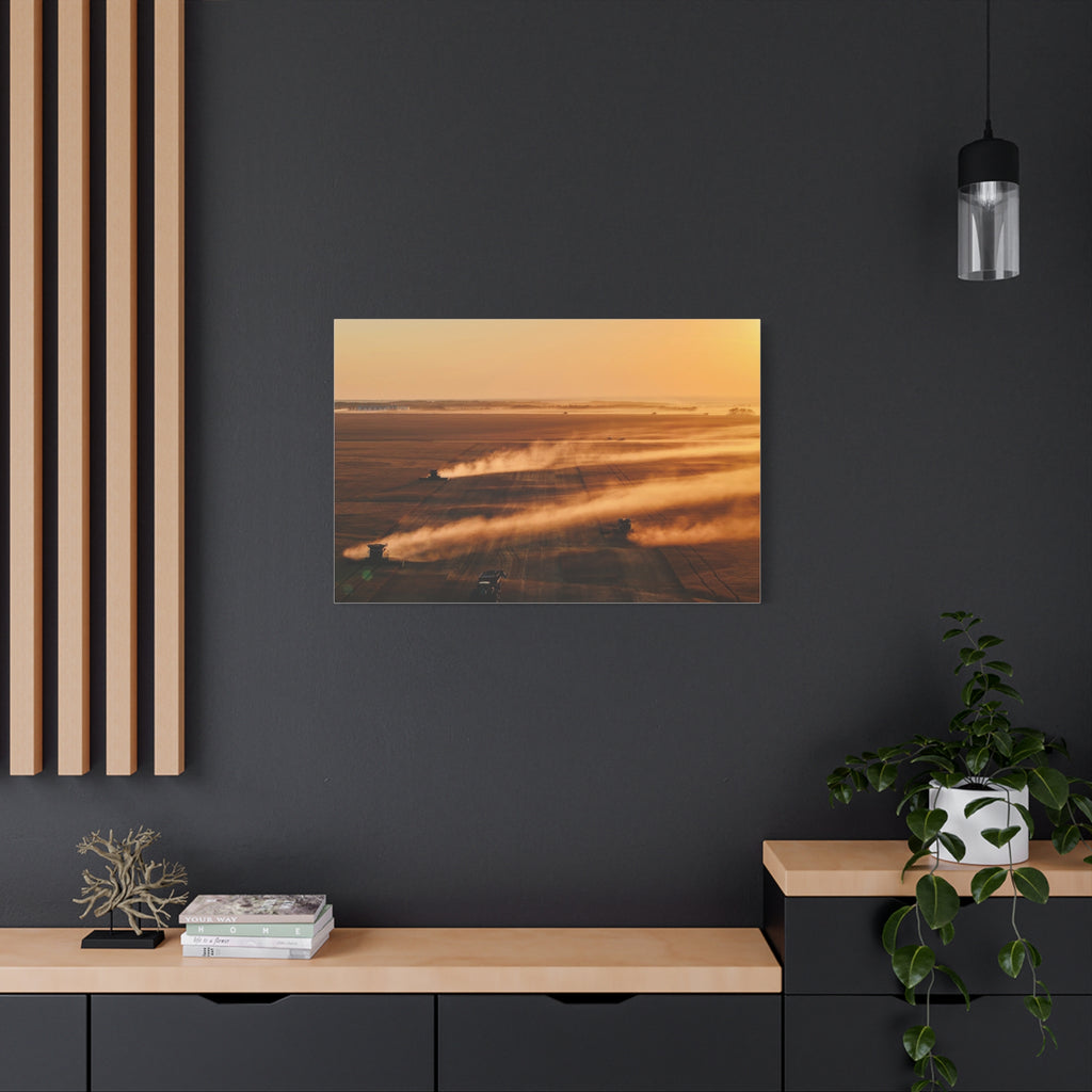 Golden Harvest Peace Region Canvas Print — Farmfield Sunrise Wall Art