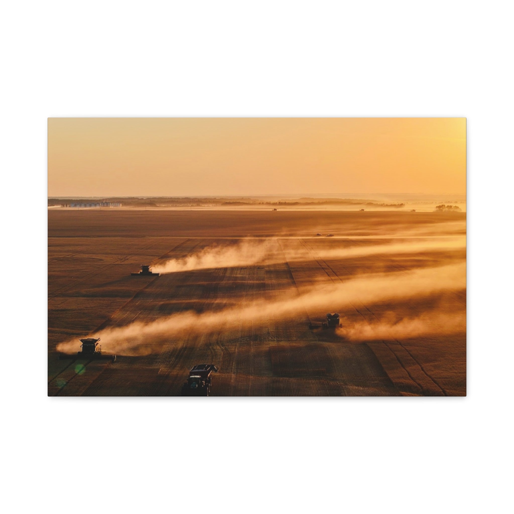 Golden Harvest Peace Region Canvas Print — Farmfield Sunrise Wall Art