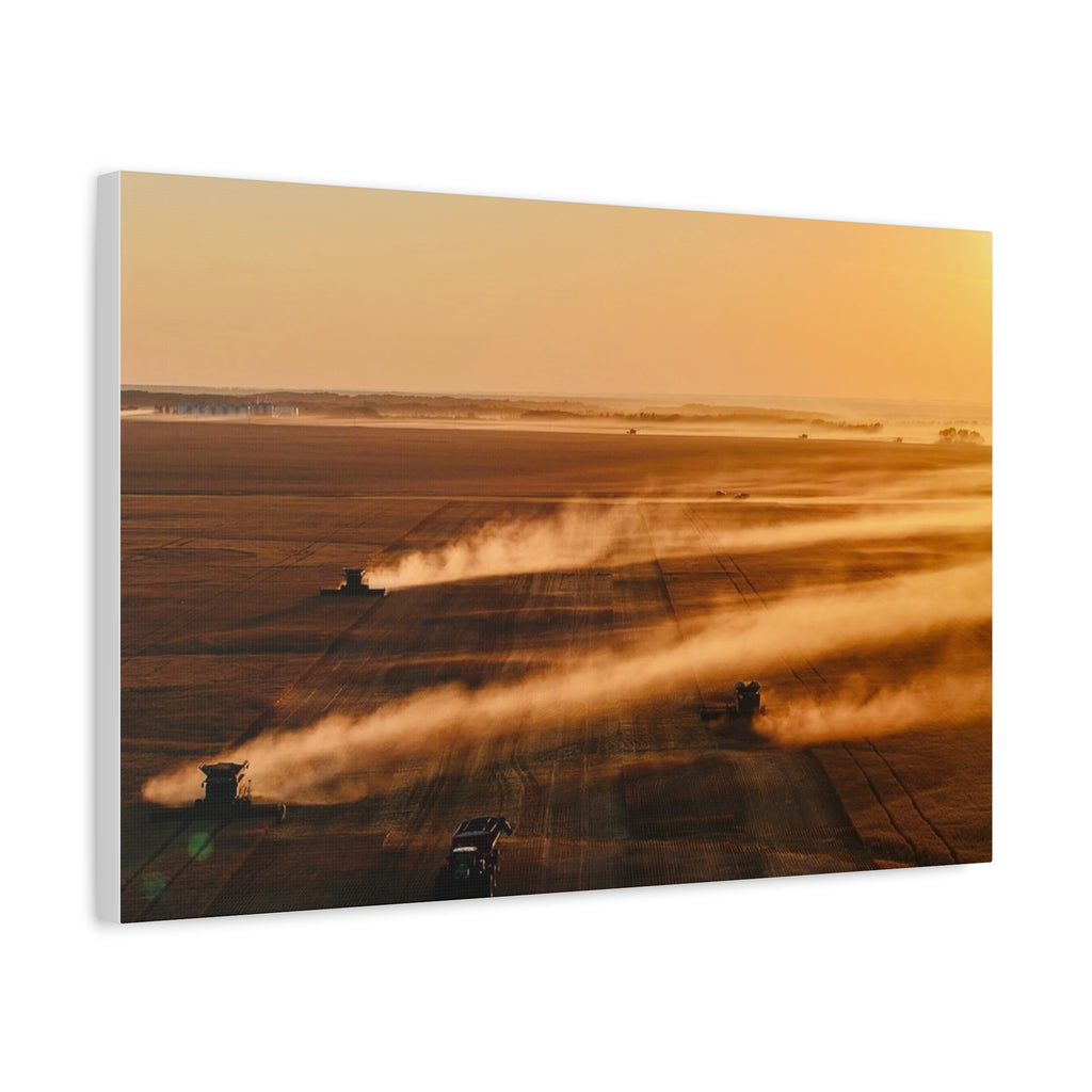 Golden Harvest Peace Region Canvas Print — Farmfield Sunrise Wall Art