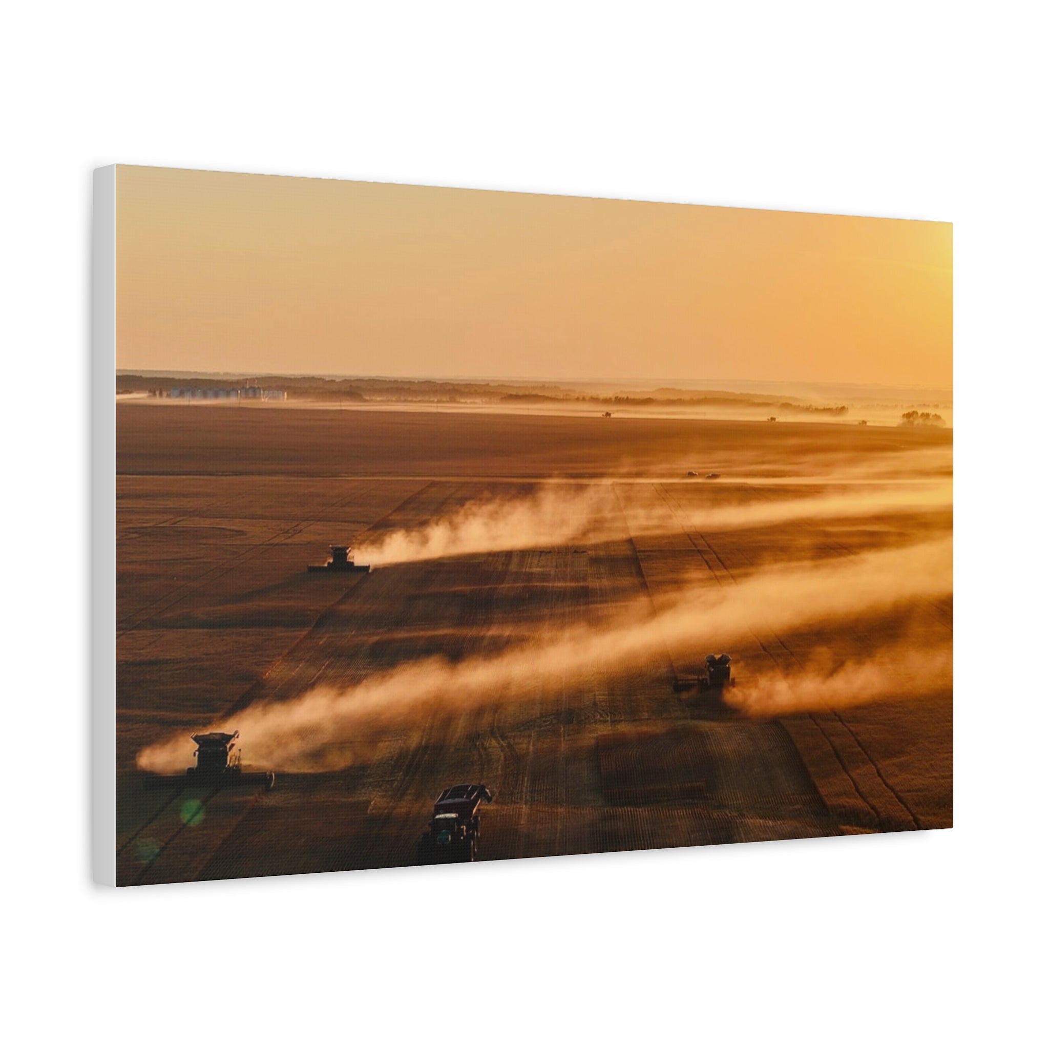 Golden Harvest Peace Region Canvas Print — Farmfield Sunrise Wall Art