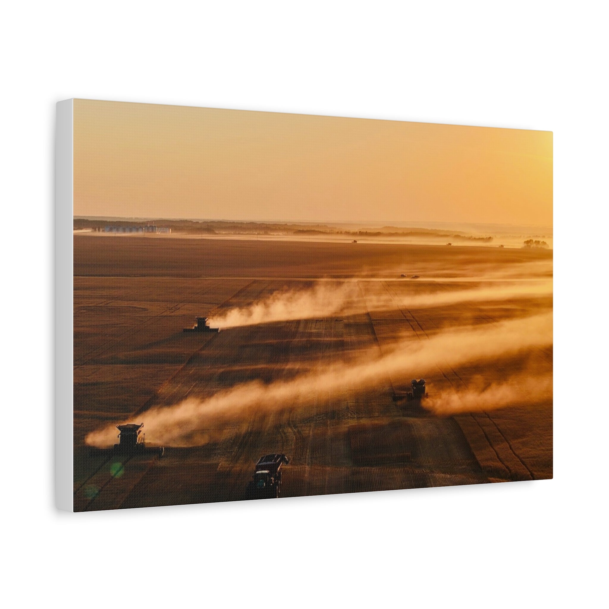 Golden Harvest Peace Region Canvas Print — Farmfield Sunrise Wall Art